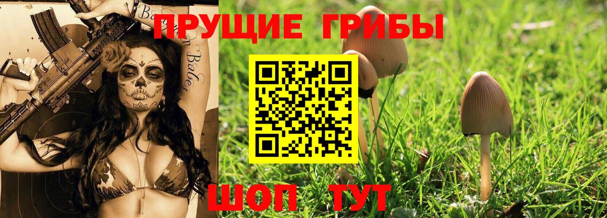 Галлюциногенные грибы прущие грибы  Псилоцибиновые грибы ЛСД  Заинск  Вход с VPN 