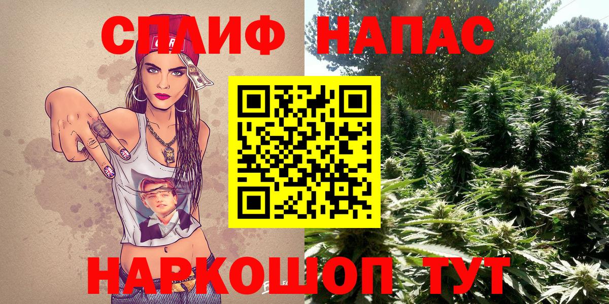Канабис семена  Вход с VPN  Бошки Шишки планчик  Марихуана марихуана  Заинск 